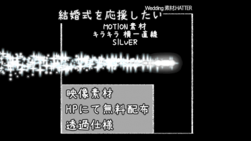 キラキラ 横一直線-SILVER