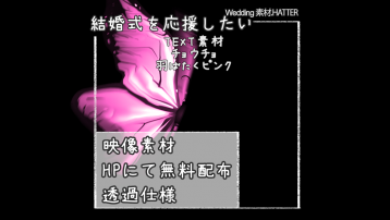 チョウチョ 羽ばたくピンク