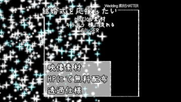 キラキラ 横に流れる-SILVER