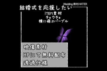 結婚式で使用できるフリーの無料テキスト素材free-Butterfly-movie