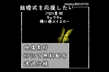 結婚式で使用できるフリーの無料テキスト素材free-Butterfly-movie