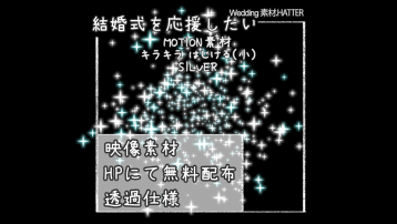 キラキラ はじける(小)-SILVER