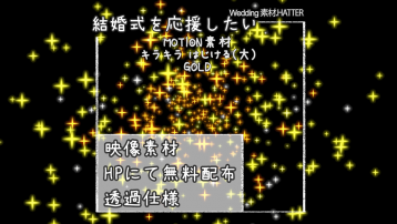 キラキラ はじける(大)-GOLD