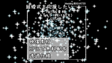 キラキラ はじける(大)-SILVER