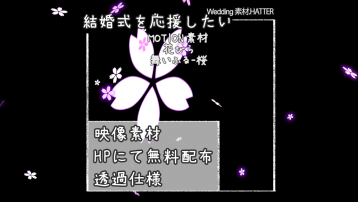 花びら 舞いふる-桜