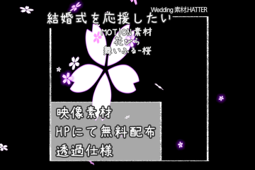 結婚式で使用できるフリーの無料テキスト素材free-flower(FALL)-SAKURA-movie