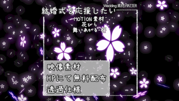 花びら 舞いあがる-桜