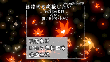 花びら 舞いあがる-もみじ