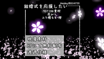 花びら ふり積もる-桜