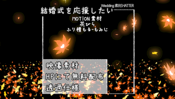 花びら ふり積もる-もみじ