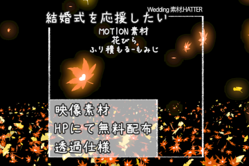 結婚式で使用できるフリーの無料テキスト素材free-flower(SETS)-MAPLE-movie