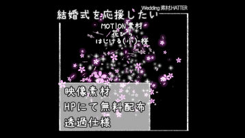 花びら はじける(小)-桜