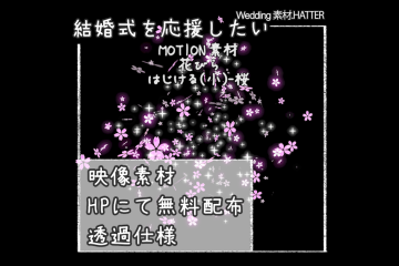 結婚式で使用できるフリーの無料テキスト素材free-flower(POP A)-SAKURA-movie