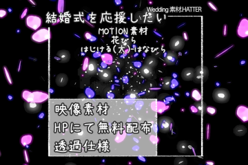 結婚式で使用できるフリーの無料テキスト素材free-flower(POP B)-PETAL-movie