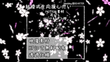 花びら はじける(大)-桜