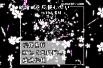 結婚式で使用できるフリーの無料テキスト素材free-flower(POP B)-SAKURA-movie