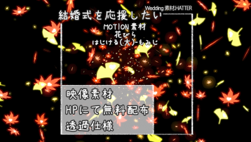 花びら はじける(大)-もみじ