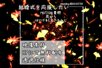 結婚式で使用できるフリーの無料テキスト素材free-flower(POP B)-MAPLE-movie