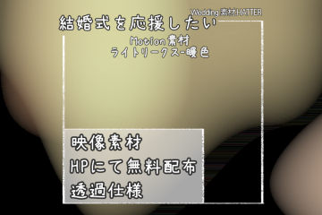 結婚式で使用できるフリーの無料モーション素材free-light_leaks-movie