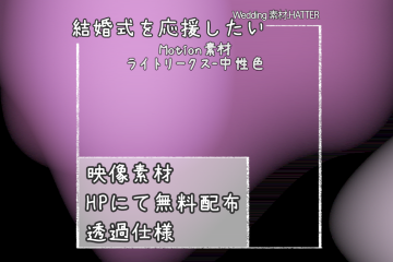 結婚式で使用できるフリーの無料モーション素材free-light_leaks-movie